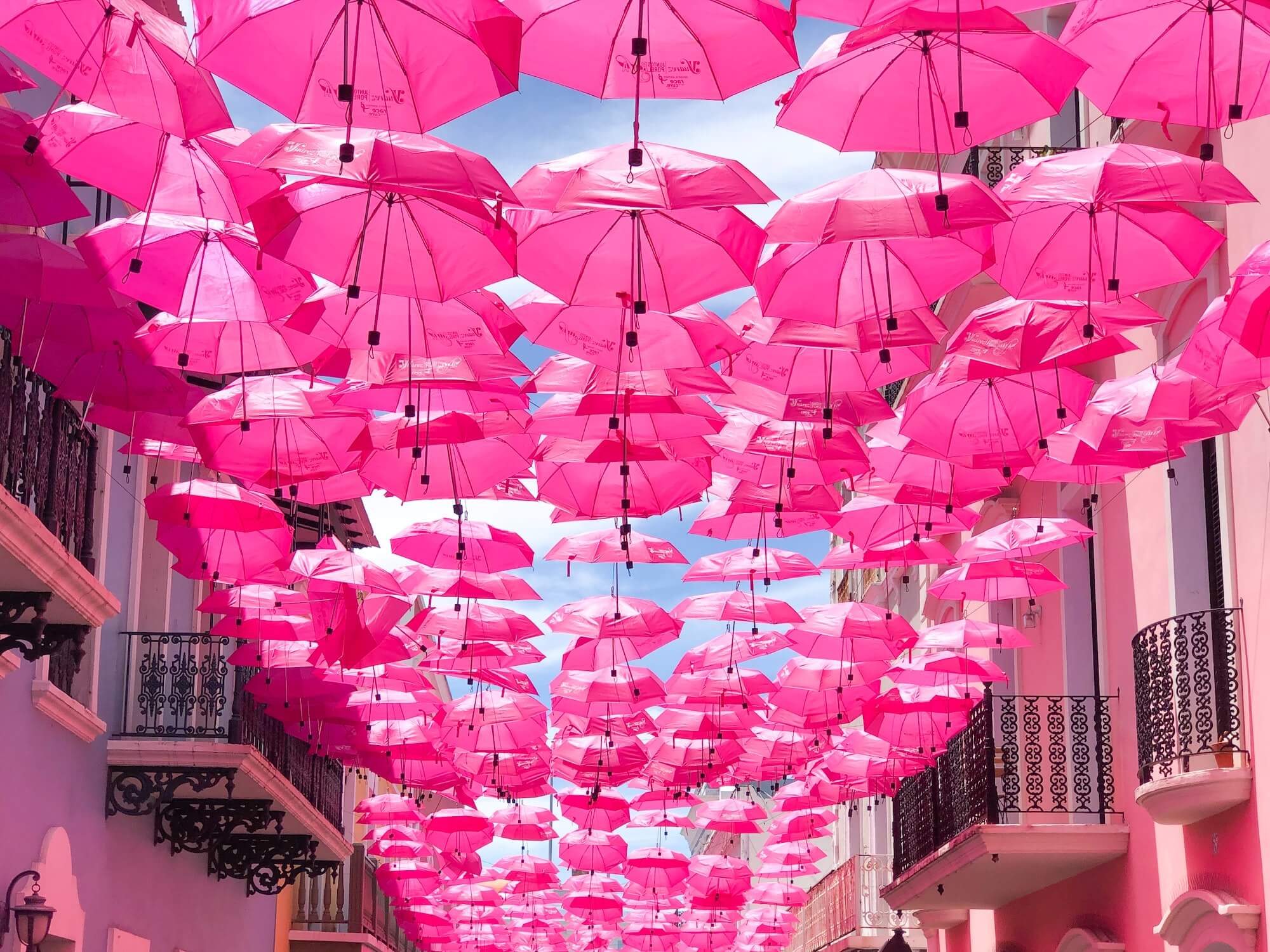 Pink Umbrellas