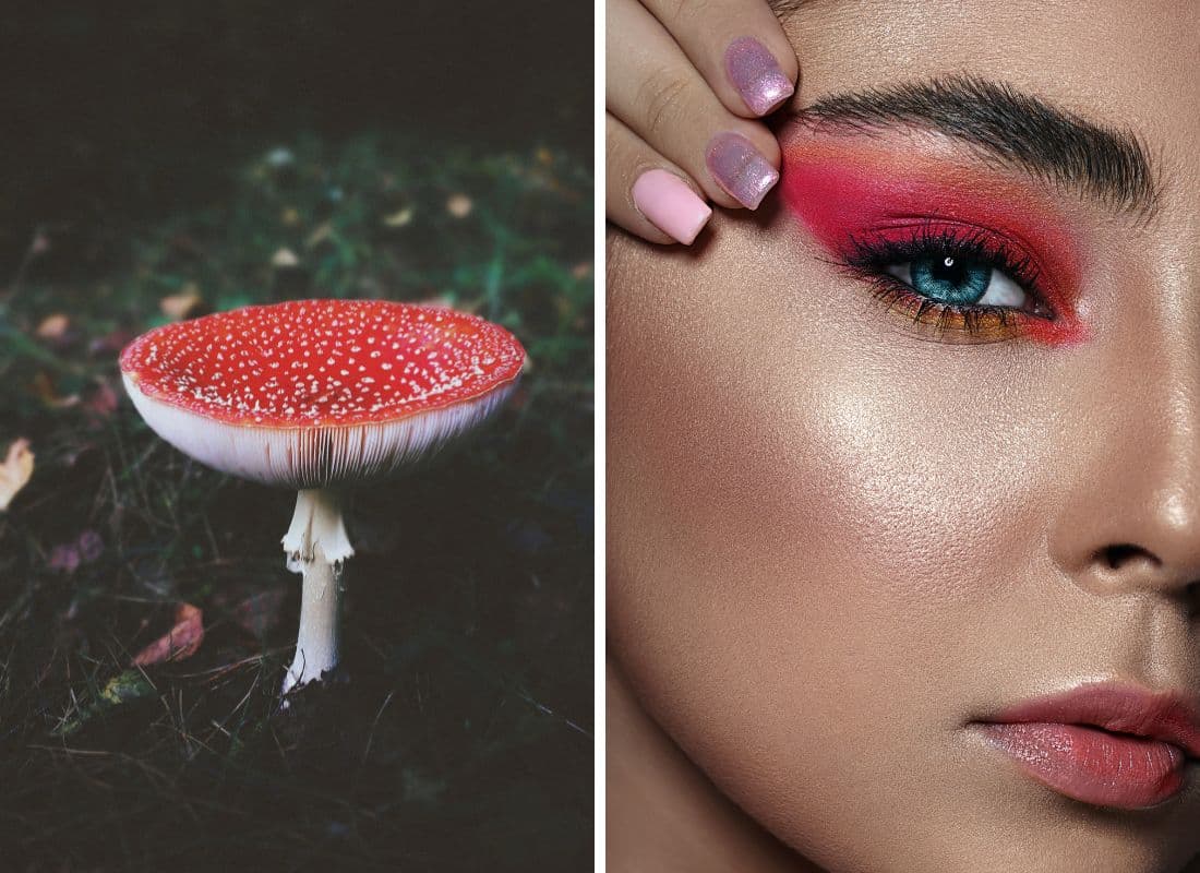 Get Ready For Your Close-Up With Mushroom Makeup Products!
