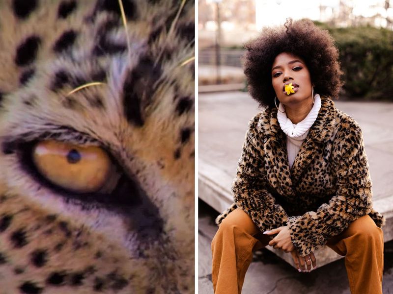 Fabulously Fierce: The Best Leopard Print Shoes for Women