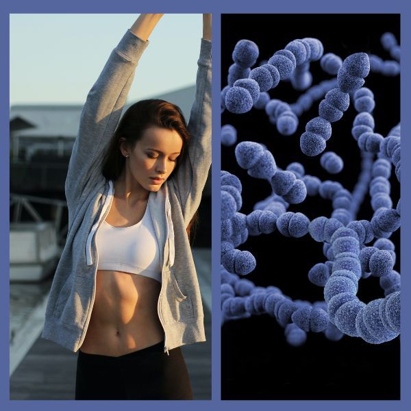 Belly Gut Health and Microbes